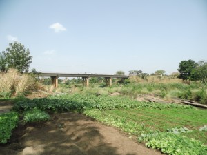 Aper&ccedil;u du bas - Pont Kara