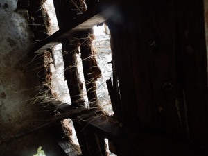 Plafond u b&acirc;timent