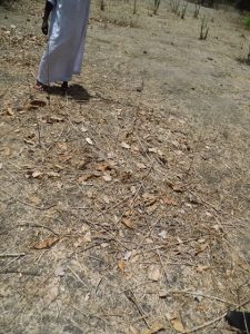 Lieu o&ugrave; r&eacute;side le F&eacute;tiche  du royaume de Gab&ugrave; &copy; Photo NTM 2016