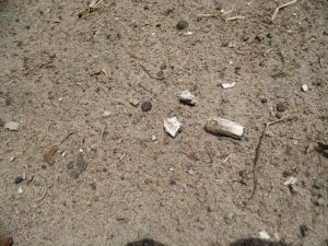 Restes des eaux de la bataille de Kansala &copy; Photo NTM