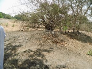 Restes du mur de la cl&ocirc;ture de 7m de haut et de 5mde large. &copy; Photo NTM