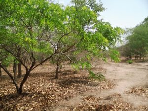 Territoire du royaume&copy;photos ntm